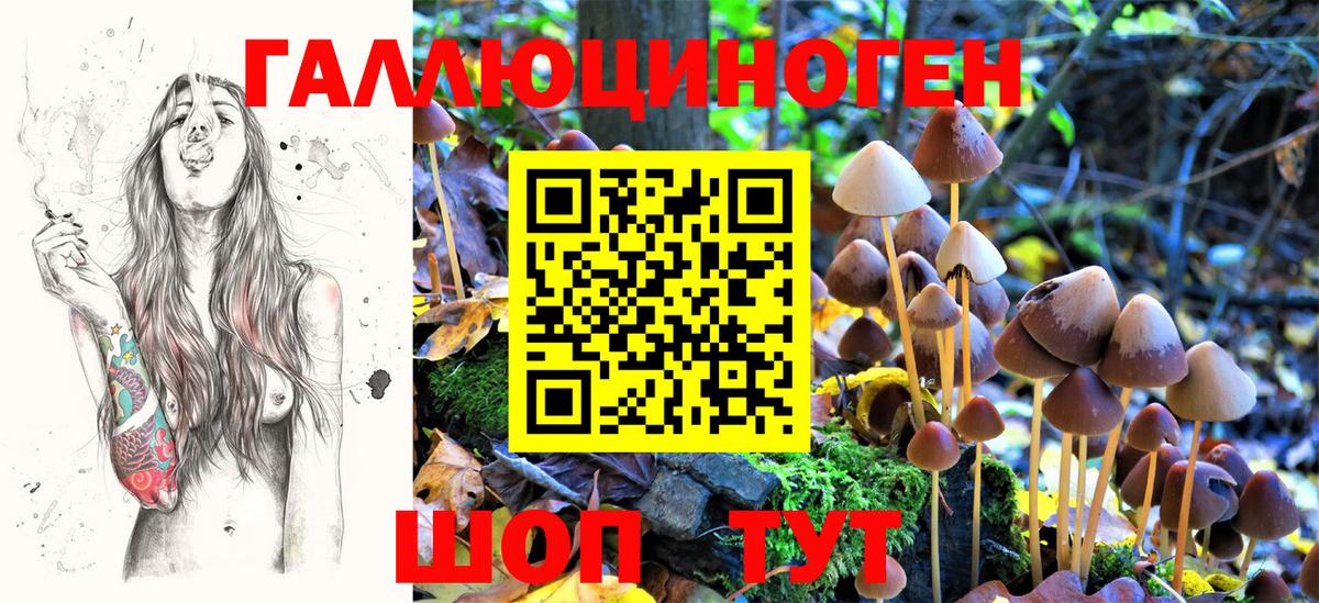 Галлюциногенные грибы GOLDEN TEACHER Новочебоксарск